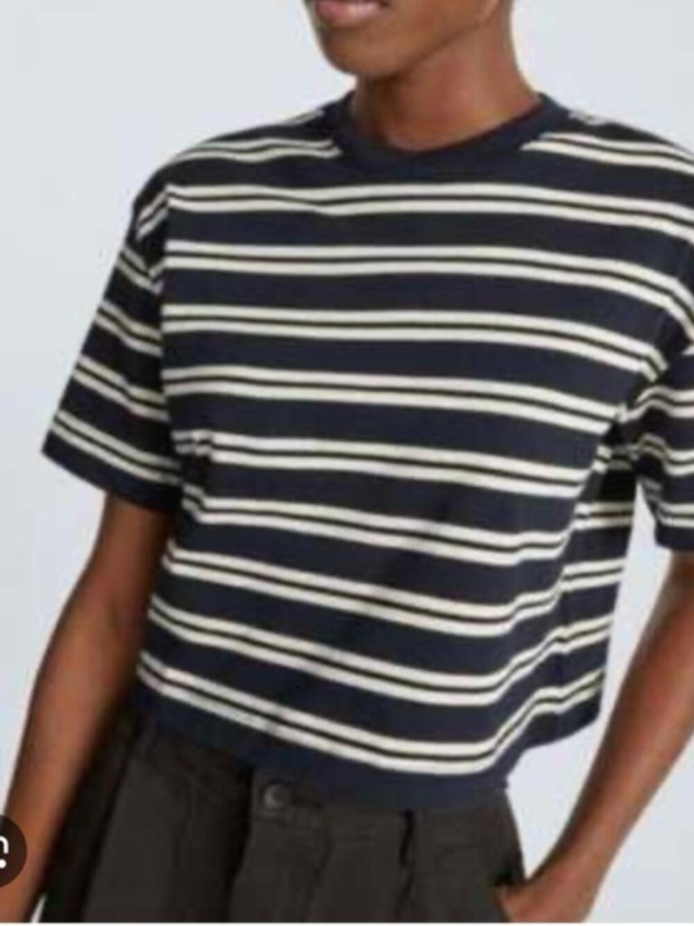 Everlane The Organic Cotton Cropped Tee